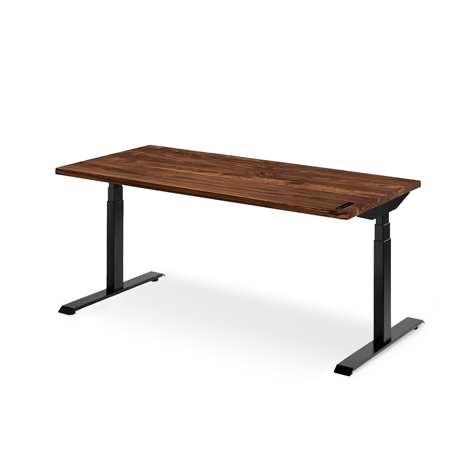 Ergonofis Sway